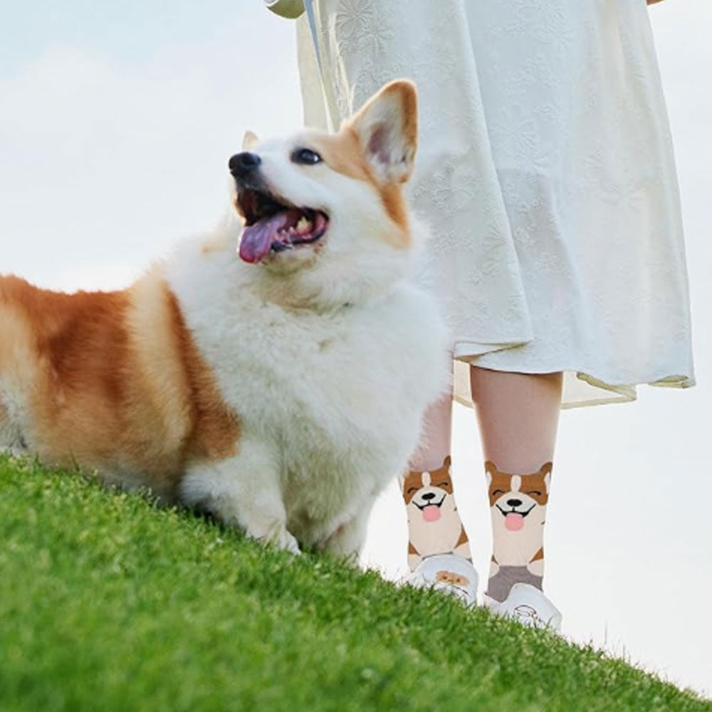 Women's Dog Socks Cat Gifts Cute Animal Socks Gifts for Women Corgi 5Pairs