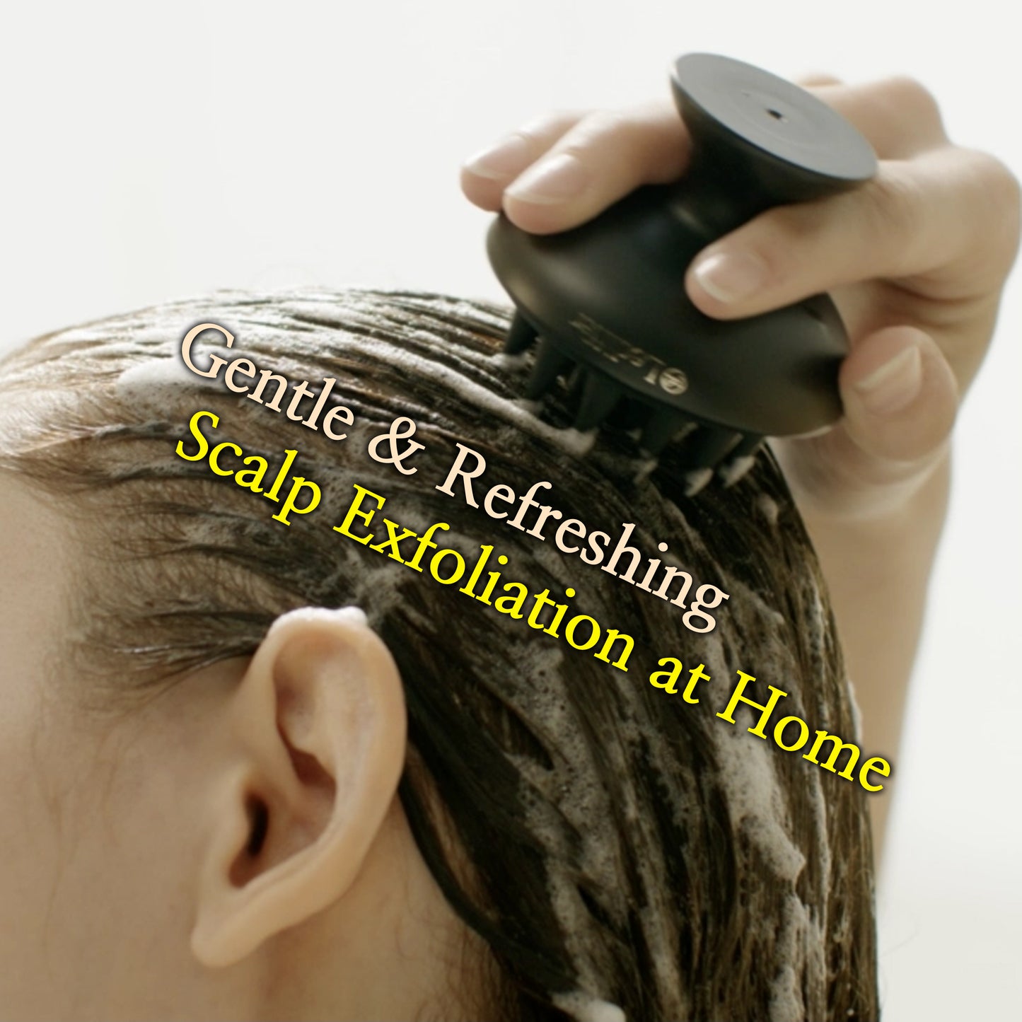 [Lediffer] Shampoo Brush