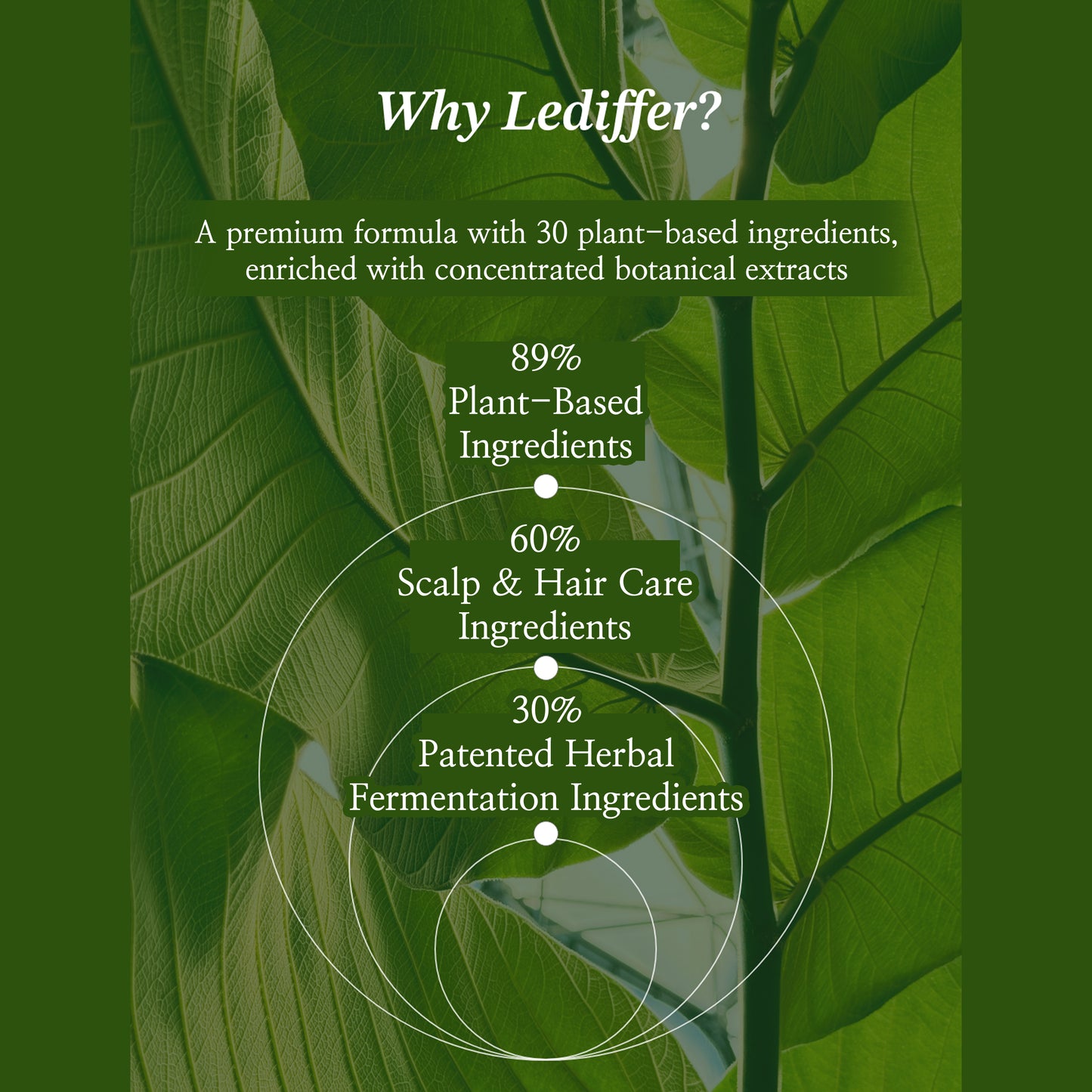 [Lediffer] Premium Deeper Shampoo (310ml)
