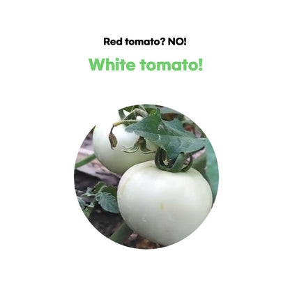 Chunho Ncare | Korean White Tomato ACE - White Tomato Extract, Vitamin A, C, E & Zinc | With Hydrolyzed Collagen, Hyaluronic Acid, & Elastin | 1 Pack Per Day | 30 Sticks