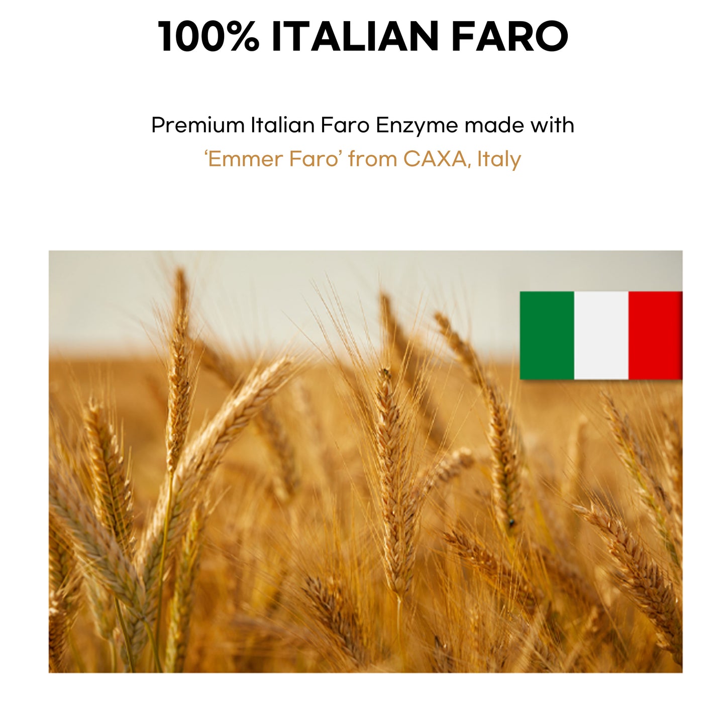 Chunhoncare Italian Premium Farro Enzyme Stick, 100% Fermented Emmer Wheat