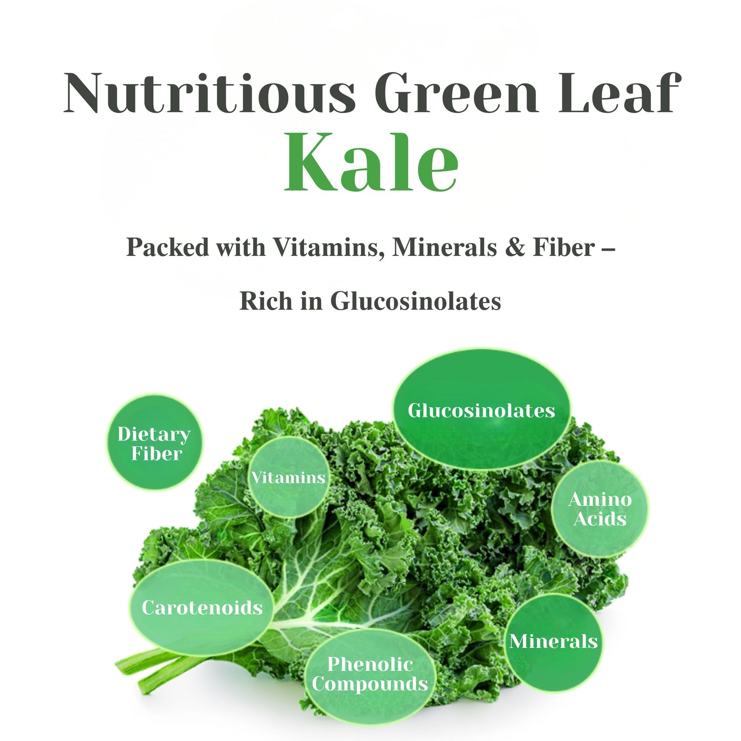 Share Chunhoncare 100% Pure Curly Kale Powder Stick packs – Freeze-Dried Kale