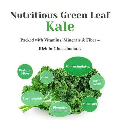 Share Chunhoncare 100% Pure Curly Kale Powder Stick packs – Freeze-Dried Kale
