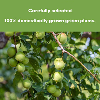 Chunho Ncare Korean Green Plum Juice, 100% Korean Cheongmaesil, with Apple & Aloe, Resealable Pouch, HACCP Certified (70mlx30pouches)