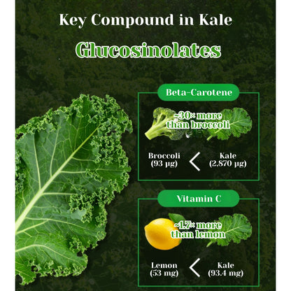 Share Chunhoncare 100% Pure Curly Kale Powder Stick packs – Freeze-Dried Kale