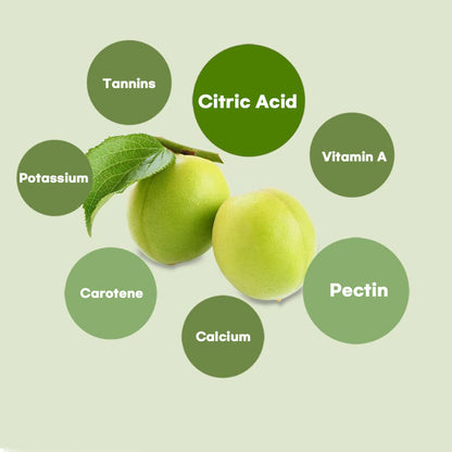 Chunho Ncare Korean Green Plum Juice, 100% Korean Cheongmaesil, with Apple & Aloe, Resealable Pouch, HACCP Certified (70mlx30pouches)