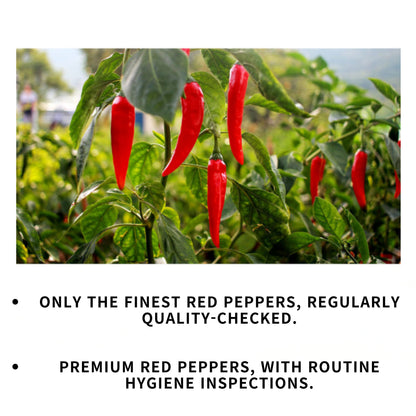 [jungtop] Korean Red Pepper Powder Sticks – 100% Korean Gochugaru, Mild Spice, Vegan, 10g x 10 Easy-Cut Packs – For Stews, BBQ, Marinades & Outdoor Cooking
